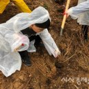 강서구-74 이미지