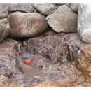 건봉사샘터 이미지