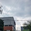 유정현법무사사무소