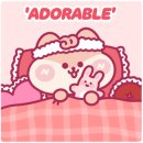 천지체형관리 이미지