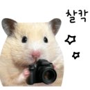 아레스모텔 이미지