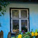 마녀의하루 이미지