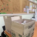 영성중학교 이미지