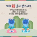페이지안경원 이미지