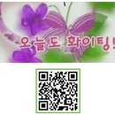 달시쓰 이미지