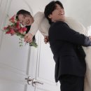 아벨로헤어 이미지