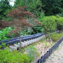 스테이결 이미지