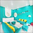 원스파인 이미지