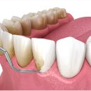 365오케이치과의원 이미지
