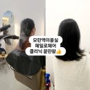 모란미용실 밀본클리닉 끝판왕✨ 헤일로헤어 찐 손상모 살리는 리얼후기