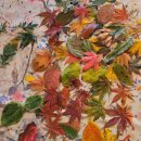 광적어린이집 이미지