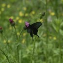 계절그리기 이미지