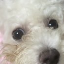 후루룹