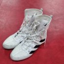 번영 복싱체육관 이미지