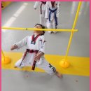 국가대표 본 태권도장 이미지