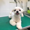 이스턴동물병원 이미지