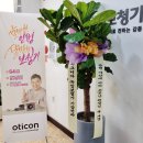 중앙메디칼보청기 이미지