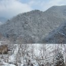 성골 농원 이미지