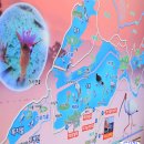 우포늪생태공원 이미지