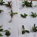 신용 아쿠아 수족관 이미지