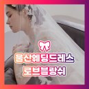 초이스 | 울산웨딩드레스🎀 드레스 초이스 후기!