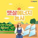 햇살농사