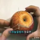 요술같은 바느질 (줄이고 늘리고 꿰메고) // ♡🌲더(가可)와 덜(감感)🌲 // 9월이 오는 소리 이미지