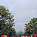 자라섬 캠핑장 | 경기도 가평 '자라섬캠핑장 카라반' 이용 후기