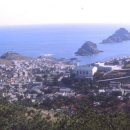 용호농장 이미지