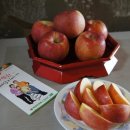 성문농장 이미지