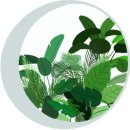 마마독스 이미지