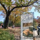 가산수피아 | 칠곡군 가산수피아 핑크뮬리 맛집 방문 후기