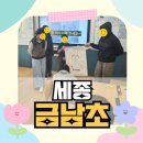 아름학교 | [더아름교육원]4차산업혁명 미래직업 Job Go! 캠프_세종 금남초등학교