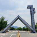 석