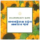 페이퍼플라워 주름지 해바라기 액자 이미지