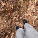 분성체육공원? | 김해 분산성 짧은 등산코스 추천 ⛰️(콜드웜 와플워머 후디 L,XL 후기)