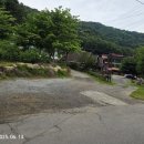 가평 '임초리 부뚜막' 두 번째 방문 솔직 후기- 반려견, 고양이와 함께한 행복한 촌캉스!