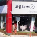 뽀송하개 애견미용 이미지