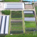 강릉시농업기술센터 이미지