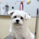 머뭉공간 이미지