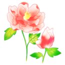 잉꼬농원 이미지