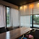 올리브트리 이미지