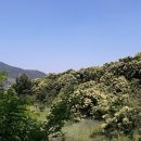 토실토실 2농장 이미지