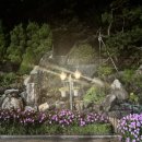 카페델피노 인근 이미지