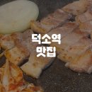 육육선생