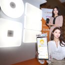 디엠피기술