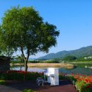 한반도섬 이미지