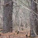 설천면109 이미지