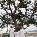 창원 제포진성 이미지