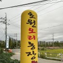 초원주유소 | 초원오리농장 파주 맛집, 데이트 코스 추천